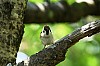 Thumbnail of 42.jpg