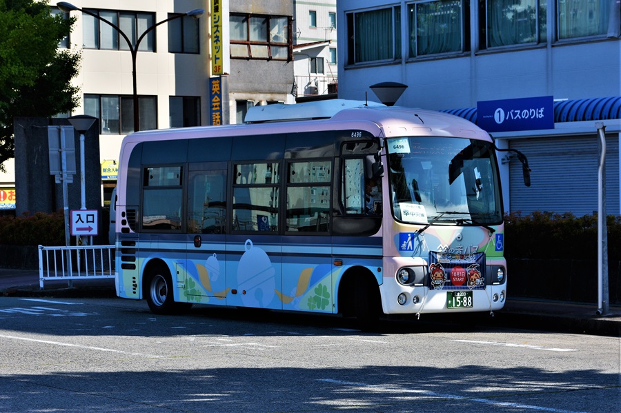 65.jpg