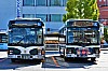Thumbnail of 64.jpg